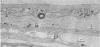 88-2