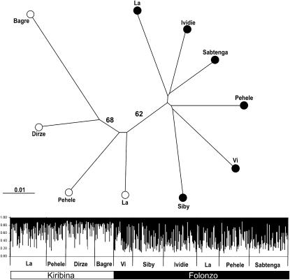 Figure 2.—