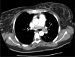 Fig. 8