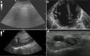 Fig. 7