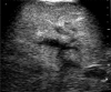 Fig. 6