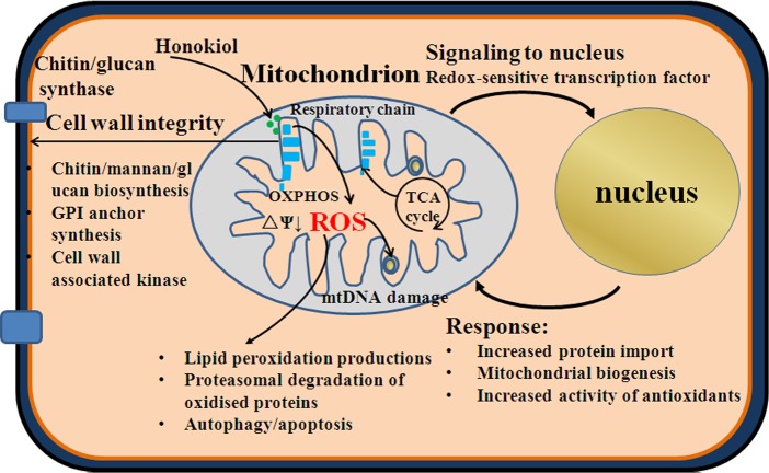 Fig 10