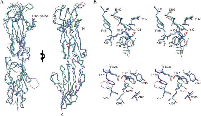 FIG 3