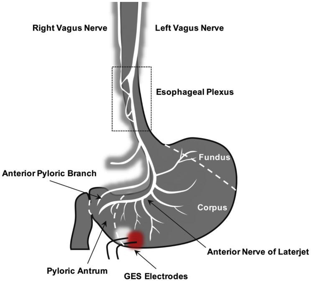 Fig. 8.