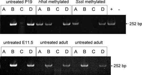 FIG. 7.