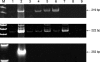 FIG. 6.