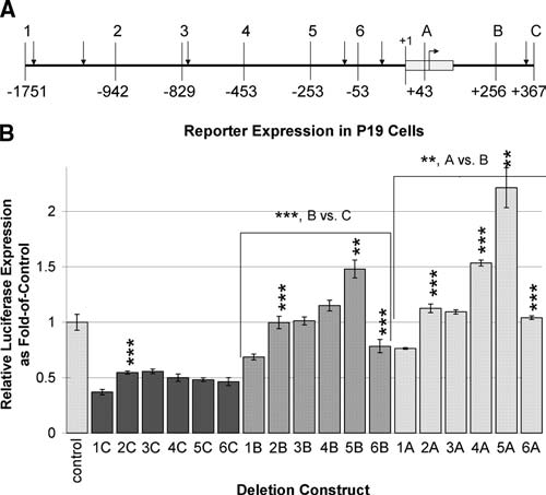 FIG. 1.