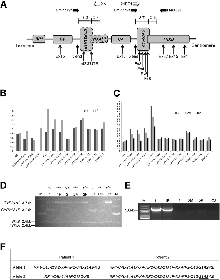 Figure 2