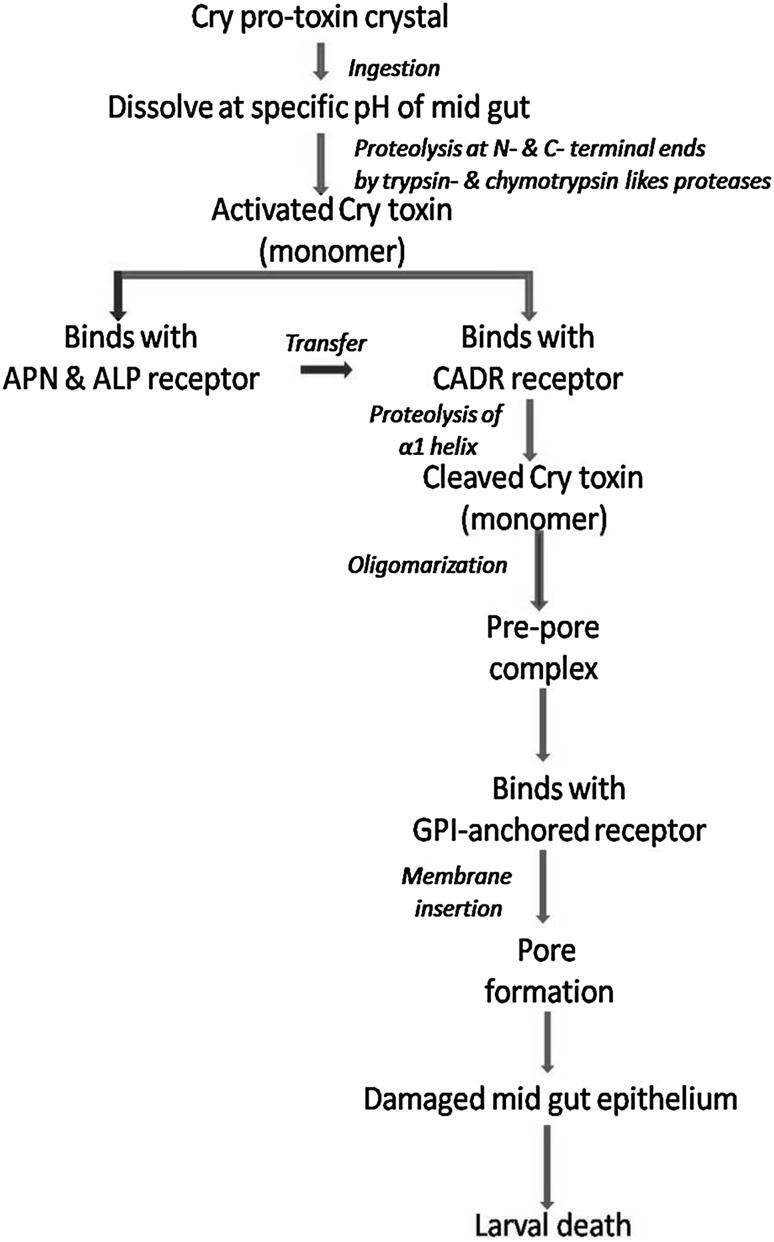 Fig. 4