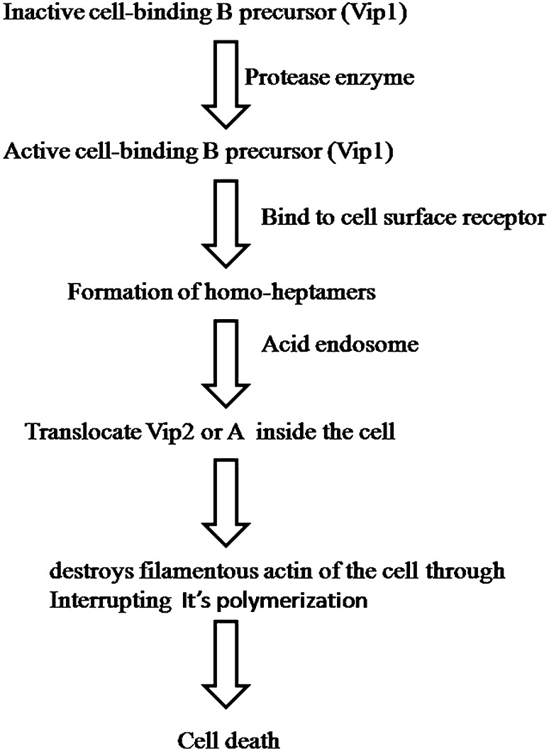 Fig. 3