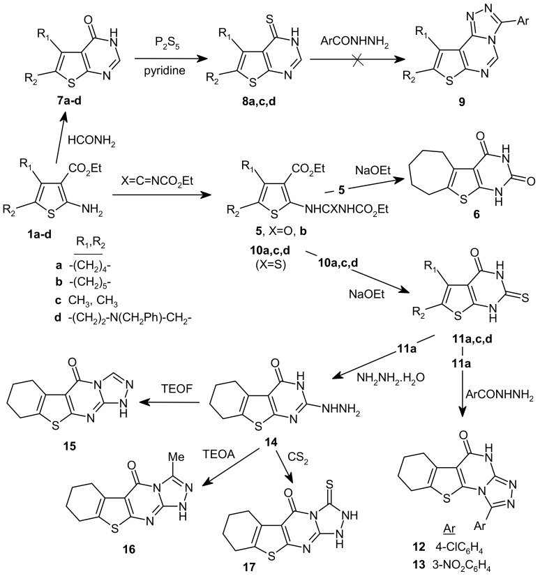 Scheme 2