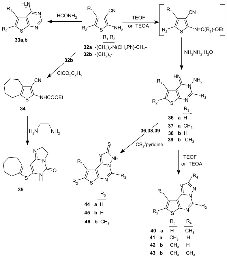 Scheme 4