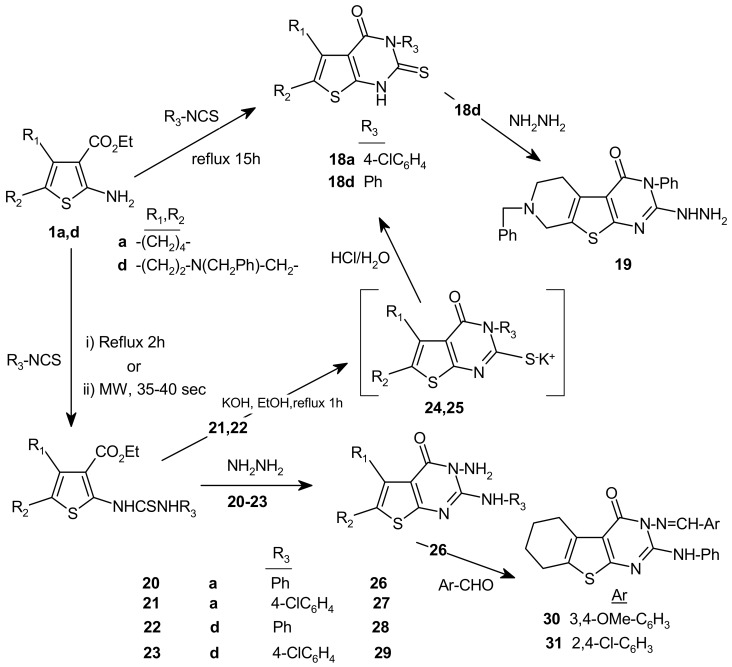 Scheme 3