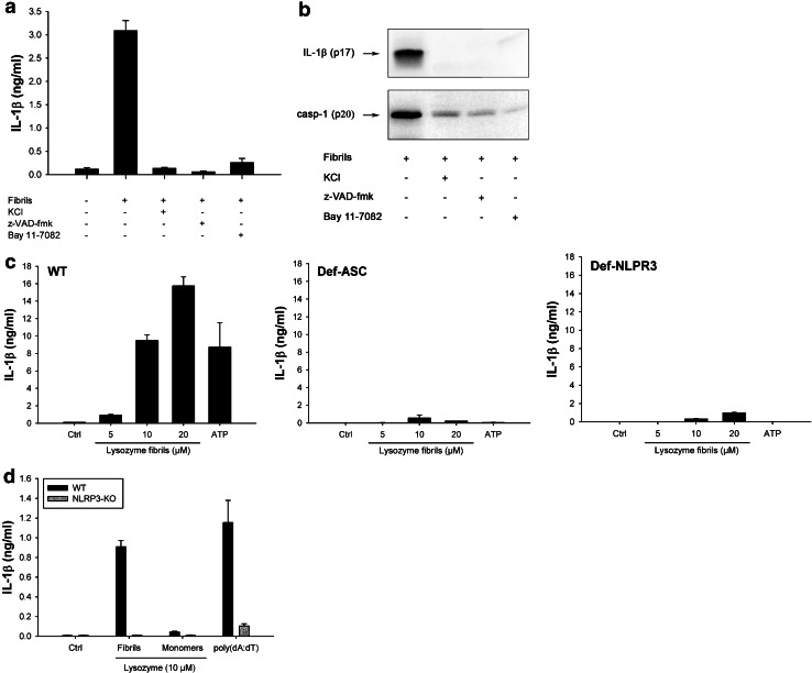 Fig. 3