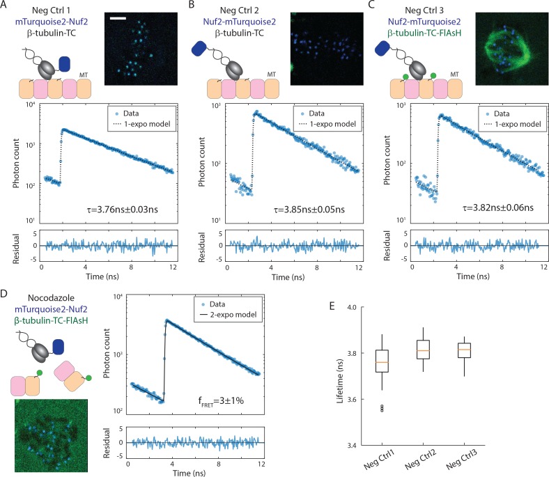 Figure 1—figure supplement 3.