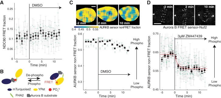 Figure 4—figure supplement 1.