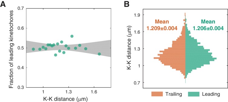 Figure 3—figure supplement 1.