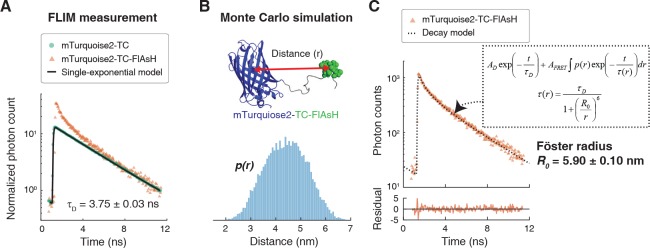 Figure 1—figure supplement 4.