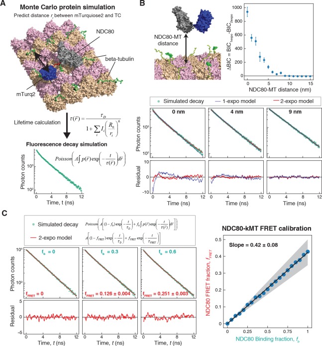 Figure 1—figure supplement 5.