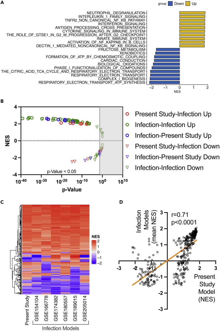 Figure 4