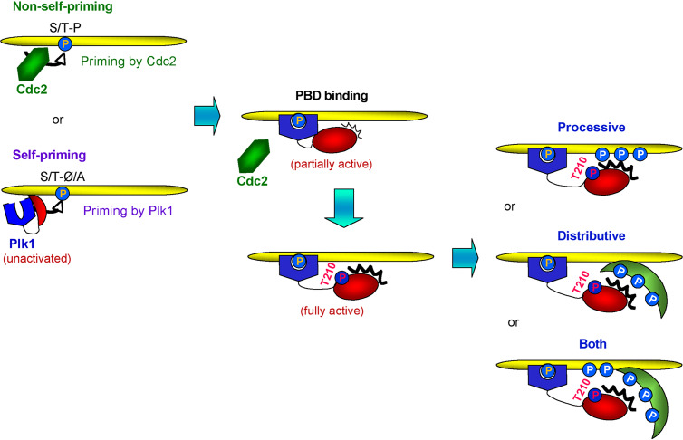 Fig. 4