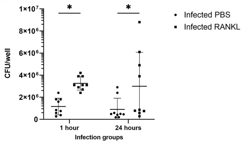 Figure 5