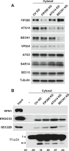 Figure 2—figure supplement 3.