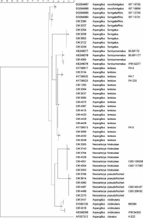 FIG. 1.