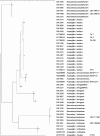 FIG. 2.