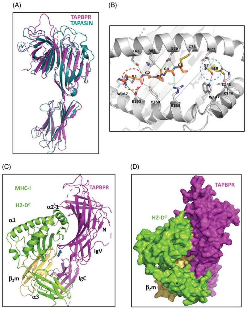 Figure 2.