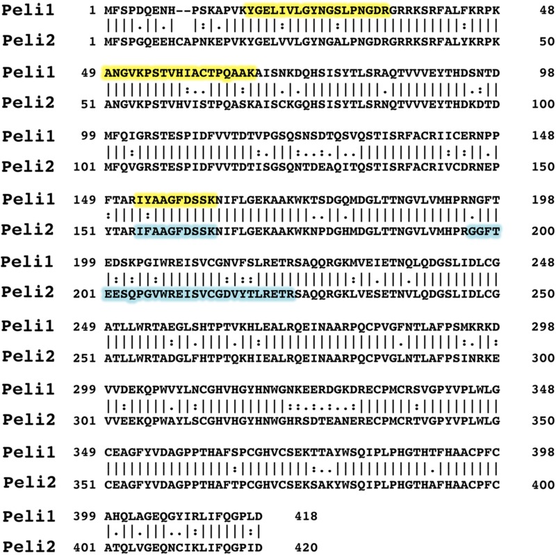 graphic file with name pnas.1702367114st01.jpg