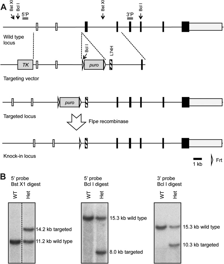 Fig. S5.