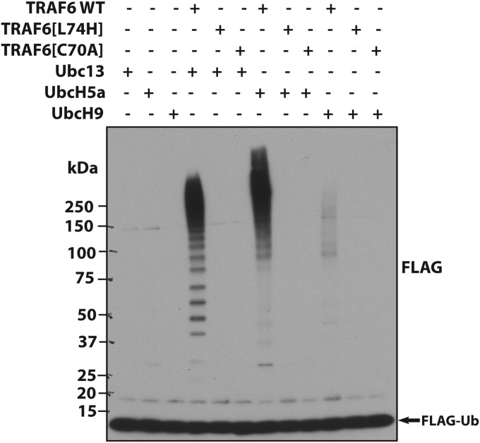 Fig. S2.