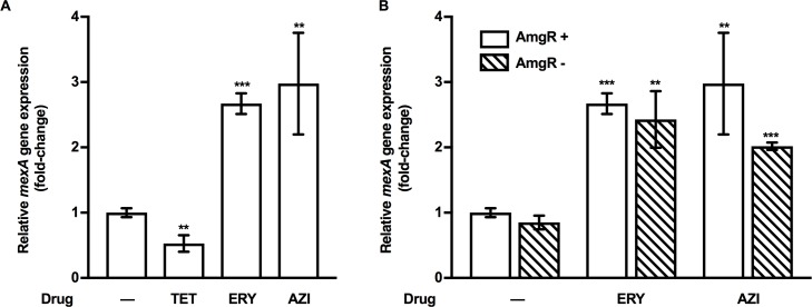 Fig 7