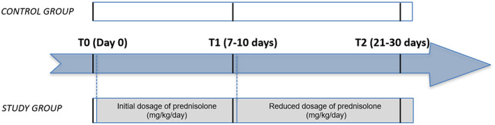 FIGURE 1