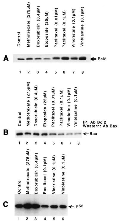 FIG. 7