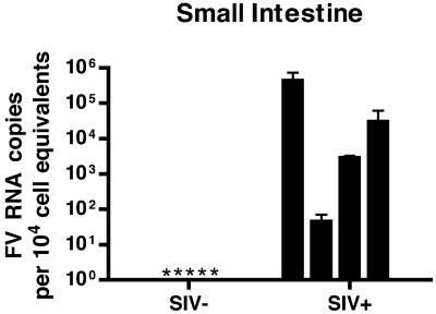 FIG. 5.