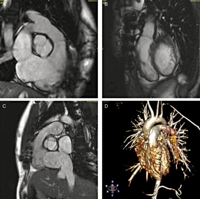 Figure 3: