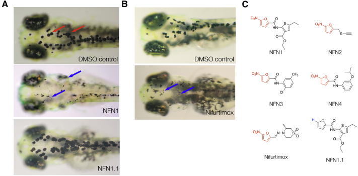 Figure 1