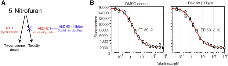 Figure 6