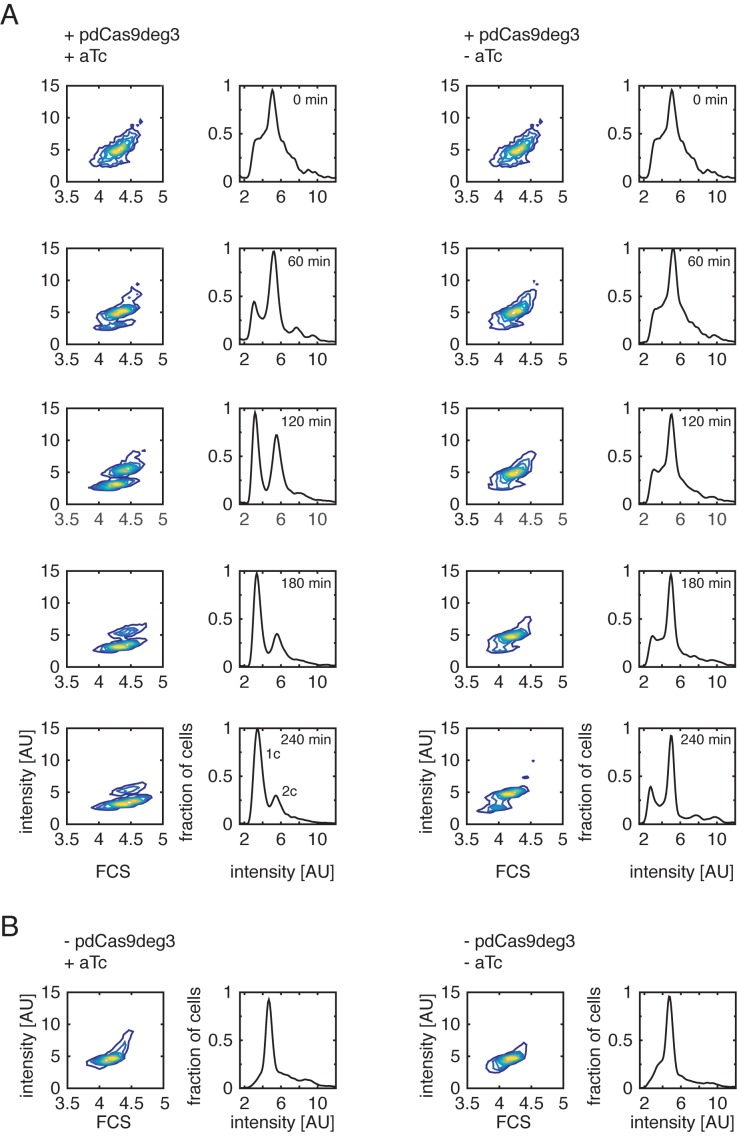 Figure 3.