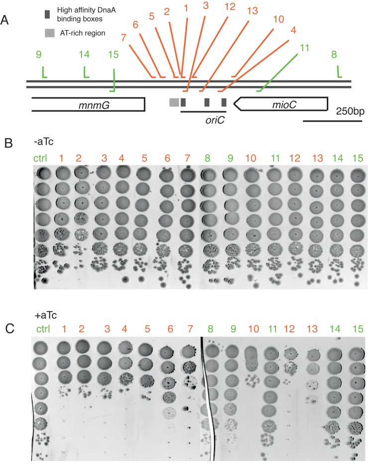 Figure 2.