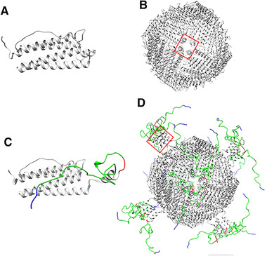 FIGURE 6