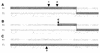 FIG. 1