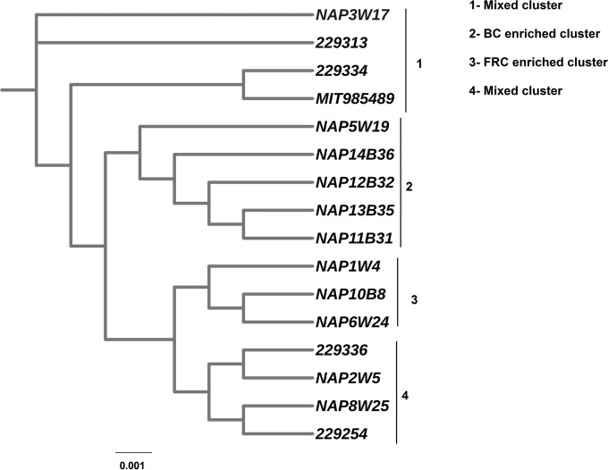 FIG 3