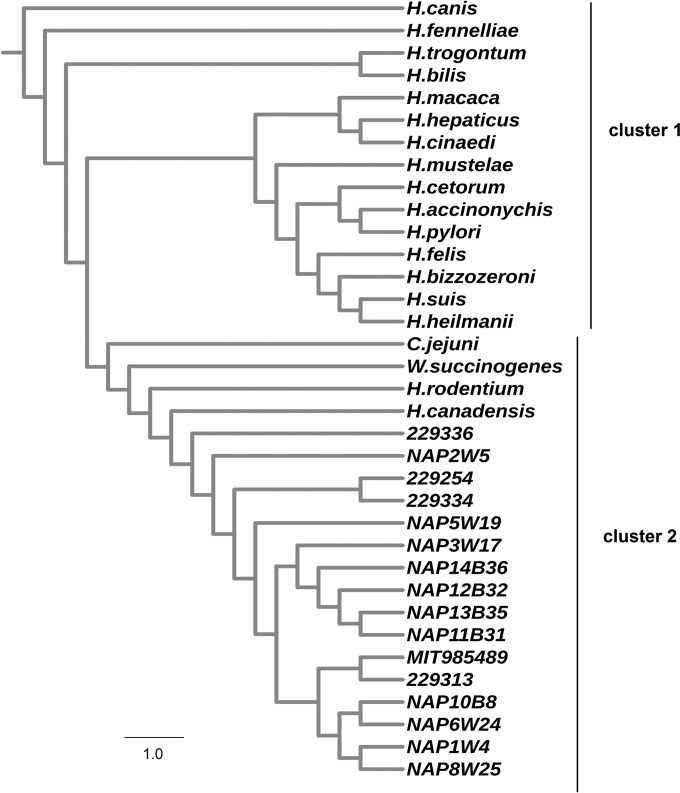 FIG 2