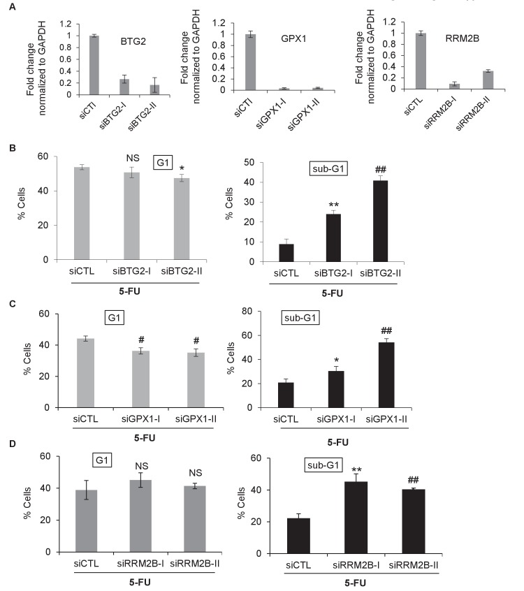 Figure 4—figure supplement 3.