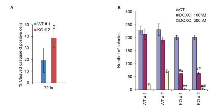 Figure 2—figure supplement 4.