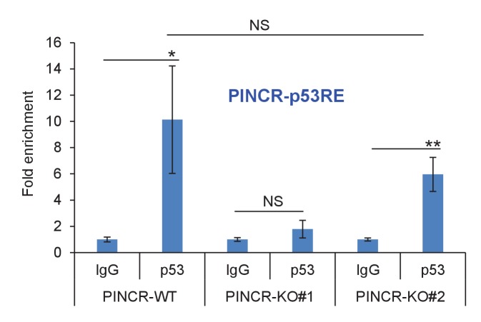 Figure 2—figure supplement 2.