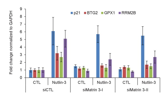 Figure 5—figure supplement 4.